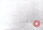 Image of North Korean prisoner South Korea, 1951, second 1 stock footage video 65675038078