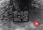 Image of North Korean prisoner South Korea, 1951, second 3 stock footage video 65675038078