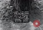 Image of North Korean prisoner South Korea, 1951, second 4 stock footage video 65675038078