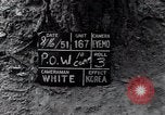 Image of North Korean prisoner South Korea, 1951, second 6 stock footage video 65675038078