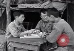 Image of North Korean prisoner South Korea, 1951, second 33 stock footage video 65675038078