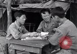 Image of North Korean prisoner South Korea, 1951, second 34 stock footage video 65675038078