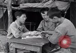 Image of North Korean prisoner South Korea, 1951, second 35 stock footage video 65675038078