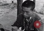 Image of North Korean prisoner South Korea, 1951, second 43 stock footage video 65675038078