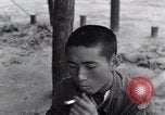 Image of North Korean prisoner South Korea, 1951, second 49 stock footage video 65675038078