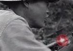 Image République de Corée 36e Régiment Yanggu Corée du Sud, 1951, de la seconde 37 séquences d'archives historiques vidéo 65675038081