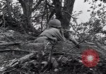 Image République de Corée 36e Régiment Yanggu Corée du Sud, 1951, de la seconde 49 séquences d'archives historiques vidéo 65675038081