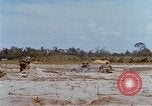 Image États-Unis 25e Division d'infanterie Vietnam, 1967, de la seconde 33 séquences d'archives historiques vidéo 65675038083