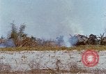 Image États-Unis 25e Division d'infanterie Vietnam, 1967, de la seconde 42 séquences d'archives historiques vidéo 65675038083
