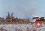 Image États-Unis 25e Division d'infanterie Vietnam, 1967, de la seconde 47 séquences d'archives historiques vidéo 65675038083