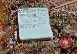Image États-Unis 25e Division d'infanterie Vietnam, 1967, de la seconde 6 séquences d'archives historiques vidéo 65675038084