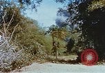 Image États-Unis 25e Division d'infanterie Vietnam, 1967, de la seconde 25 séquences d'archives historiques vidéo 65675038084