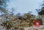 Image États-Unis 25e Division d'infanterie Vietnam, 1967, de la seconde 49 séquences d'archives historiques vidéo 65675038084
