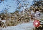 Image États-Unis 25e Division d'infanterie Vietnam, 1967, de la seconde 58 séquences d'archives historiques vidéo 65675038084