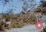 Image États-Unis 25e Division d'infanterie Vietnam, 1967, de la seconde 59 séquences d'archives historiques vidéo 65675038084