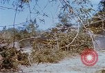 Image États-Unis 25e Division d'infanterie Vietnam, 1967, de la seconde 60 séquences d'archives historiques vidéo 65675038084
