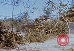 Image États-Unis 25e Division d'infanterie Vietnam, 1967, de la seconde 61 séquences d'archives historiques vidéo 65675038084