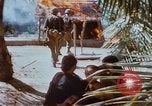 Image États-Unis 25e Division d'infanterie Vietnam, 1967, de la seconde 20 séquences d'archives historiques vidéo 65675038085