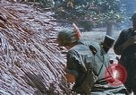 Image États-Unis 25e Division d'infanterie Vietnam, 1967, de la seconde 62 séquences d'archives historiques vidéo 65675038085
