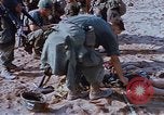 Image États-Unis 25e Division d'infanterie Vietnam, 1967, de la seconde 28 séquences d'archives historiques vidéo 65675038087
