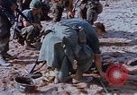 Image États-Unis 25e Division d'infanterie Vietnam, 1967, de la seconde 29 séquences d'archives historiques vidéo 65675038087