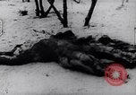 Image of Vietcong soldiers in Vietnam War Vietnam, 1966, second 42 stock footage video 65675038093