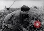 Image of Vietcong soldier action Vietnam War Vietnam, 1966, second 5 stock footage video 65675038094