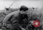 Image of Vietcong soldier action Vietnam War Vietnam, 1966, second 6 stock footage video 65675038094