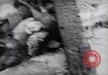 Image of North Vietnamese soldiers Vietnam, 1966, second 48 stock footage video 65675038095