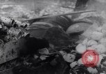 Image of North Vietnamese soldiers Vietnam, 1966, second 54 stock footage video 65675038095