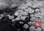 Image of North Vietnamese soldiers Vietnam, 1966, second 55 stock footage video 65675038095