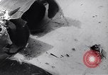 Image of North Vietnamese propaganda Vietnam War Vietnam, 1966, second 1 stock footage video 65675038096