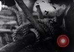 Image of North Vietnamese propaganda Vietnam War Vietnam, 1966, second 25 stock footage video 65675038096