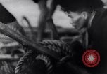 Image of North Vietnamese propaganda Vietnam War Vietnam, 1966, second 26 stock footage video 65675038096