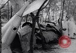 Image of North Vietnamese propaganda Vietnam War Vietnam, 1966, second 33 stock footage video 65675038096
