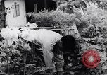 Image of North Vietnamese Vietcong soldiers at war Vietnam, 1966, second 1 stock footage video 65675038098
