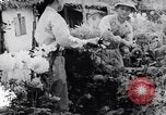 Image of North Vietnamese Vietcong soldiers at war Vietnam, 1966, second 3 stock footage video 65675038098