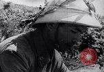 Image of North Vietnamese Vietcong soldiers at war Vietnam, 1966, second 9 stock footage video 65675038098