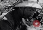 Image of North Vietnamese Vietcong soldiers at war Vietnam, 1966, second 10 stock footage video 65675038098