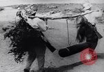 Image of North Vietnamese Vietcong soldiers at war Vietnam, 1966, second 19 stock footage video 65675038098
