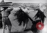 Image of North Vietnamese Vietcong soldiers at war Vietnam, 1966, second 20 stock footage video 65675038098