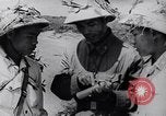Image of North Vietnamese Vietcong soldiers at war Vietnam, 1966, second 27 stock footage video 65675038098