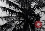 Image of North Vietnamese Vietcong soldiers at war Vietnam, 1966, second 47 stock footage video 65675038098