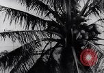 Image of North Vietnamese Vietcong soldiers at war Vietnam, 1966, second 48 stock footage video 65675038098