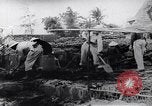 Image of North Vietnamese Vietcong soldiers at war Vietnam, 1966, second 56 stock footage video 65675038098