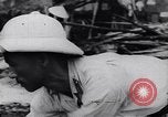 Image of North Vietnamese Vietcong soldiers at war Vietnam, 1966, second 59 stock footage video 65675038098