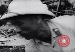Image of North Vietnamese Vietcong soldiers at war Vietnam, 1966, second 60 stock footage video 65675038098