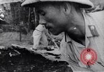 Image of North Vietnamese Vietcong soldiers at war Vietnam, 1966, second 61 stock footage video 65675038098