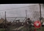 Image of Viet Cong suspect Vietnam, 1967, second 7 stock footage video 65675038101