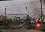 Image of Viet Cong suspect Vietnam, 1967, second 11 stock footage video 65675038101